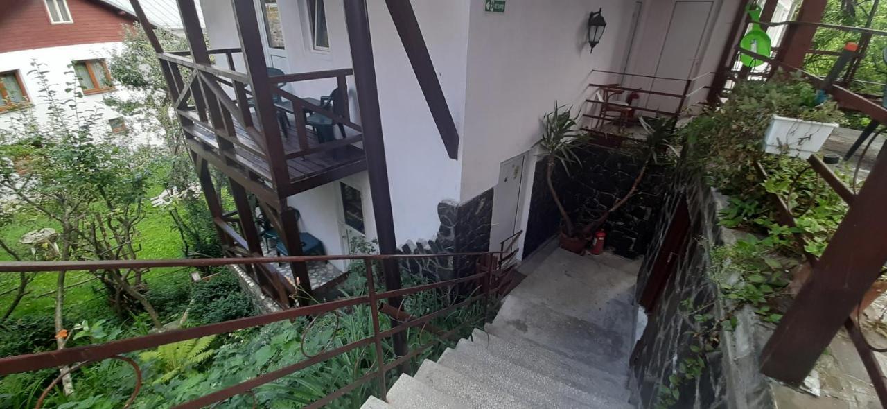 Casa Cristina_ Cabana Busteni Exterior photo